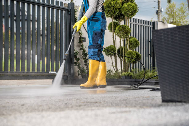Best Concrete Surface Cleaning in Mapleton, IA